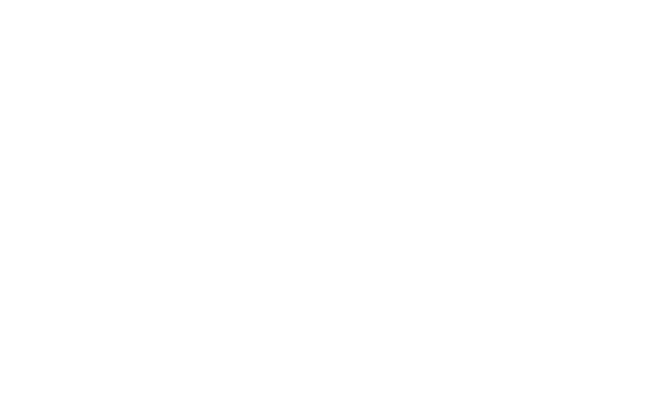 Network Digital Solutions Logo